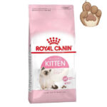 غذای خشک بچه گربه کیتن رویال کنین Kitten