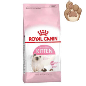 غذای خشک بچه گربه کیتن رویال کنین Kitten