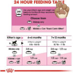 غذای خشک بچه گربه کیتن رویال کنین Kitten