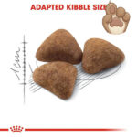 غذای خشک گربه ایندور رویال کنین Royal canin Indoor Home Life