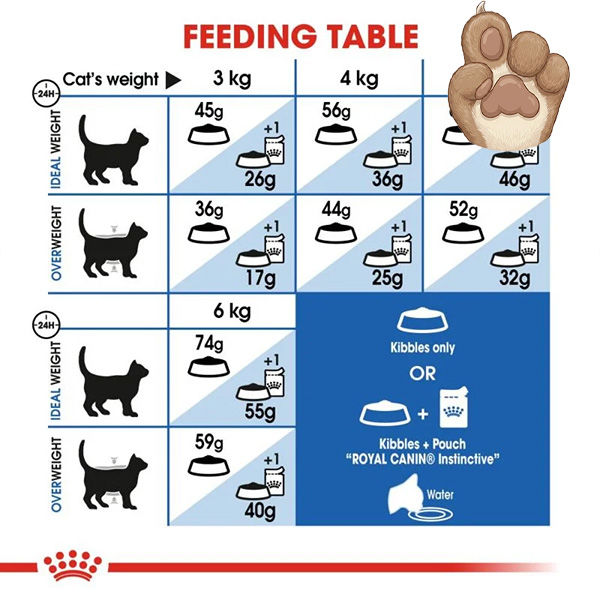 غذای خشک گربه ایندور رویال کنین Royal canin Indoor Home Life