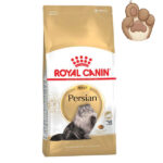 غذای خشک گربه پرشین رویال کنین مدل ADULT