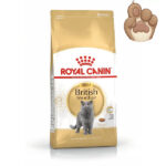 غذای گربه رویال کنین British Shorthair