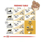 غذای گربه رویال کنین British Shorthair