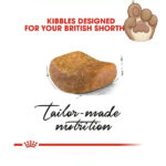 غذای گربه رویال کنین British Shorthair