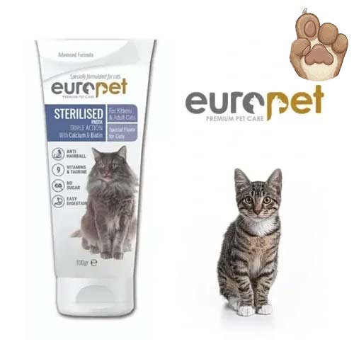 مالت یوروپت