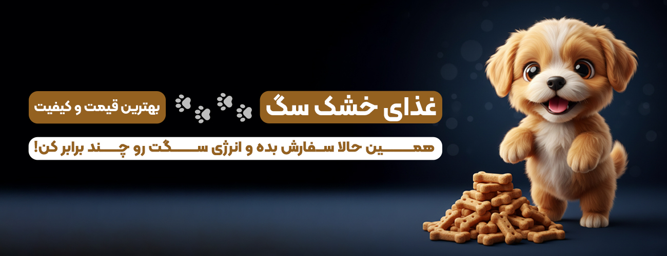 غذای خشک سگ