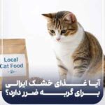 آیا غذای خشک ایرانی برای گربه ضرر دارد؟