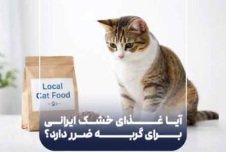 آیا غذای خشک ایرانی برای گربه ضرر دارد؟