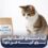 آیا غذای خشک ایرانی برای گربه ضرر دارد؟