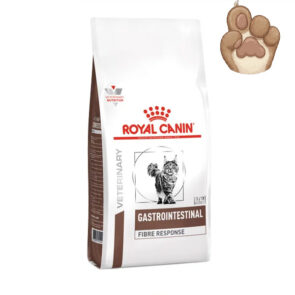 غذای خشک درمانی گربه رویال کنین گاسترو فایبر
