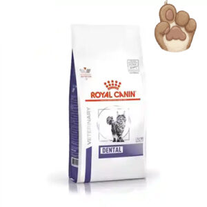 غذای گربه مدل دنتال Dental (CAT) رویال کنین
